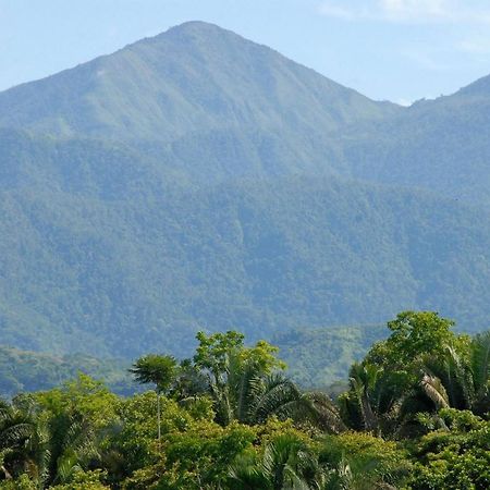 Villa Kiskadee - Beautiful Mountain Views With Private Pool Quepos Eksteriør bilde