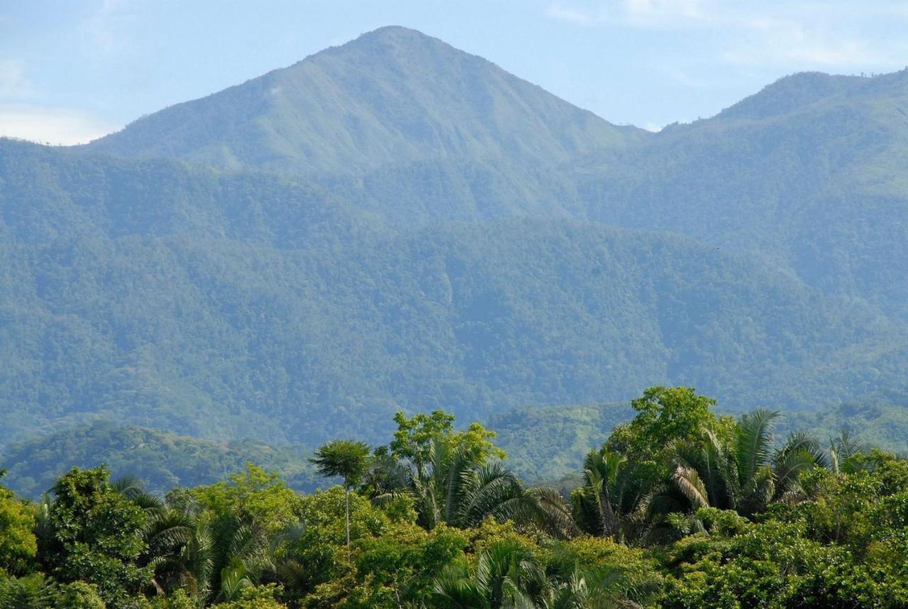 Villa Kiskadee - Beautiful Mountain Views With Private Pool Quepos Eksteriør bilde